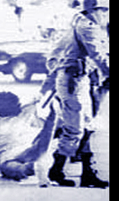 Con las tablas en la cabeza